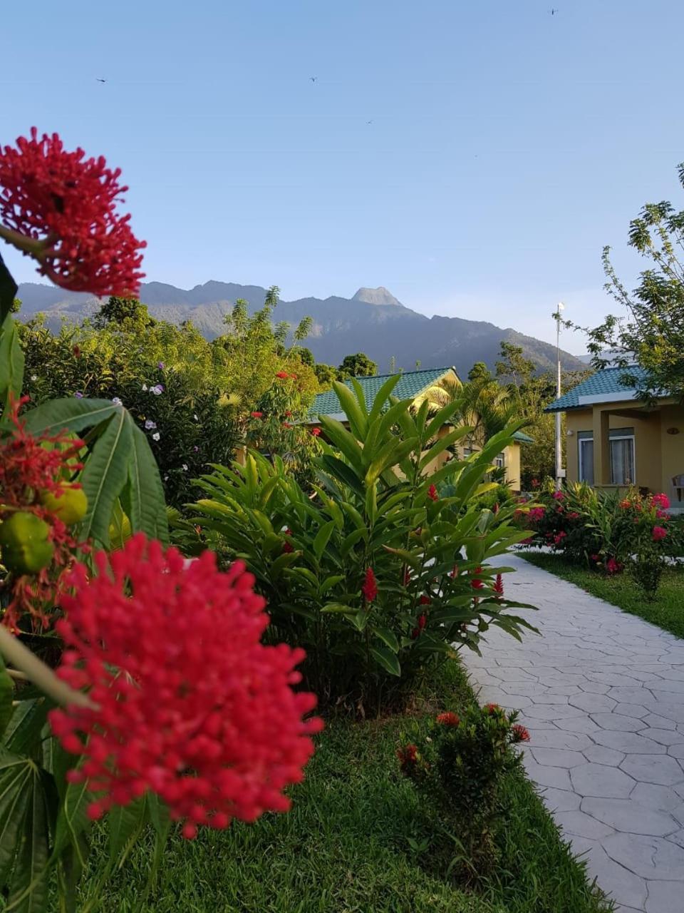 Corinto Pearl Eco Resort El Pino Exterior photo